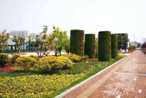 【五色草景觀(guān)雕塑造型佛甲草雕塑造型適合擺放在什么場(chǎng)合】- 